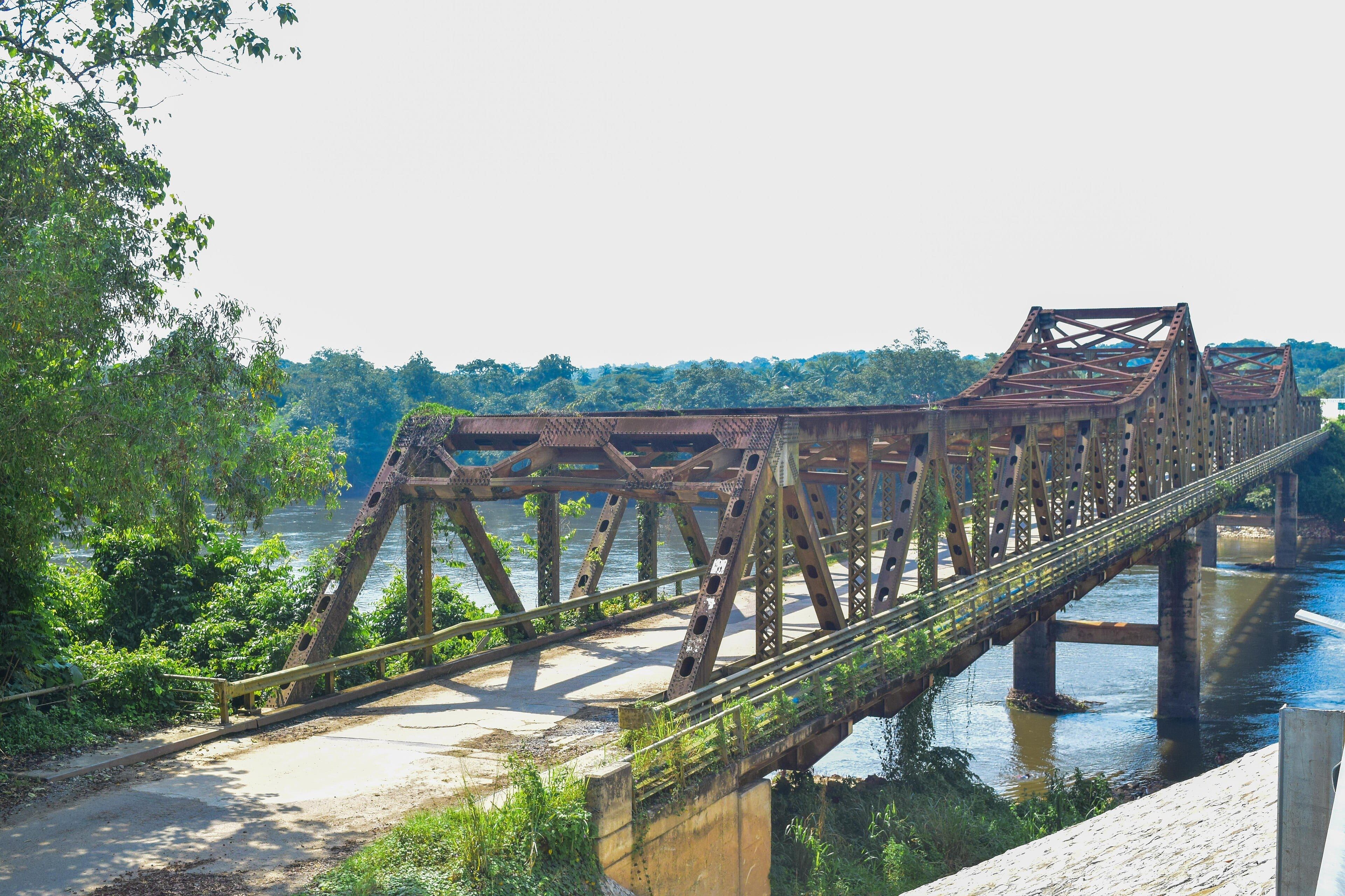 Old bridge, Cross River National Park, Cross River State, Nigeria (illustration)