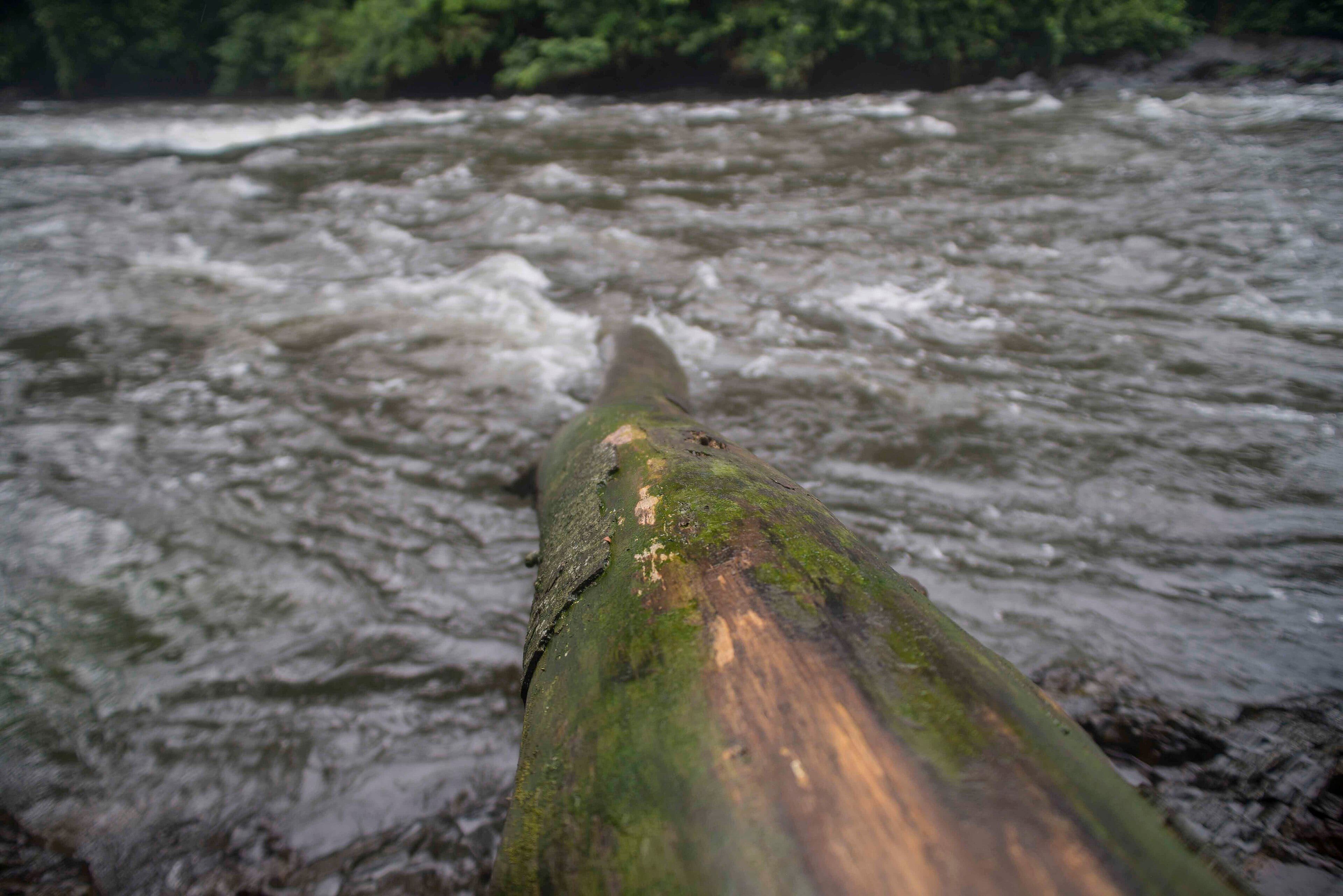 Kwa Falls rainforest river, Calabar, Nigeria (illustration)