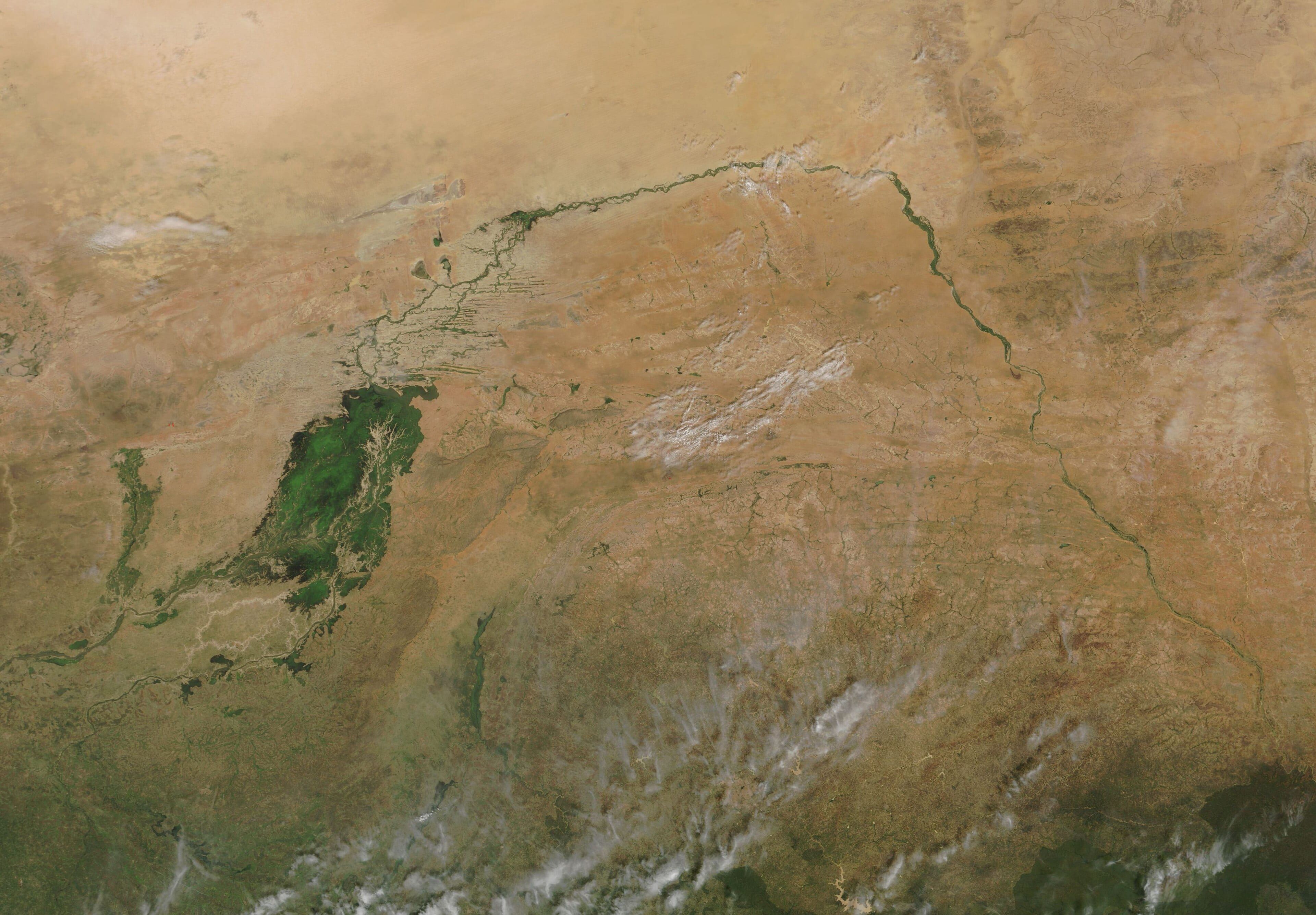 Satellite view of The Niger River and its inland delta, MODIS, Mali