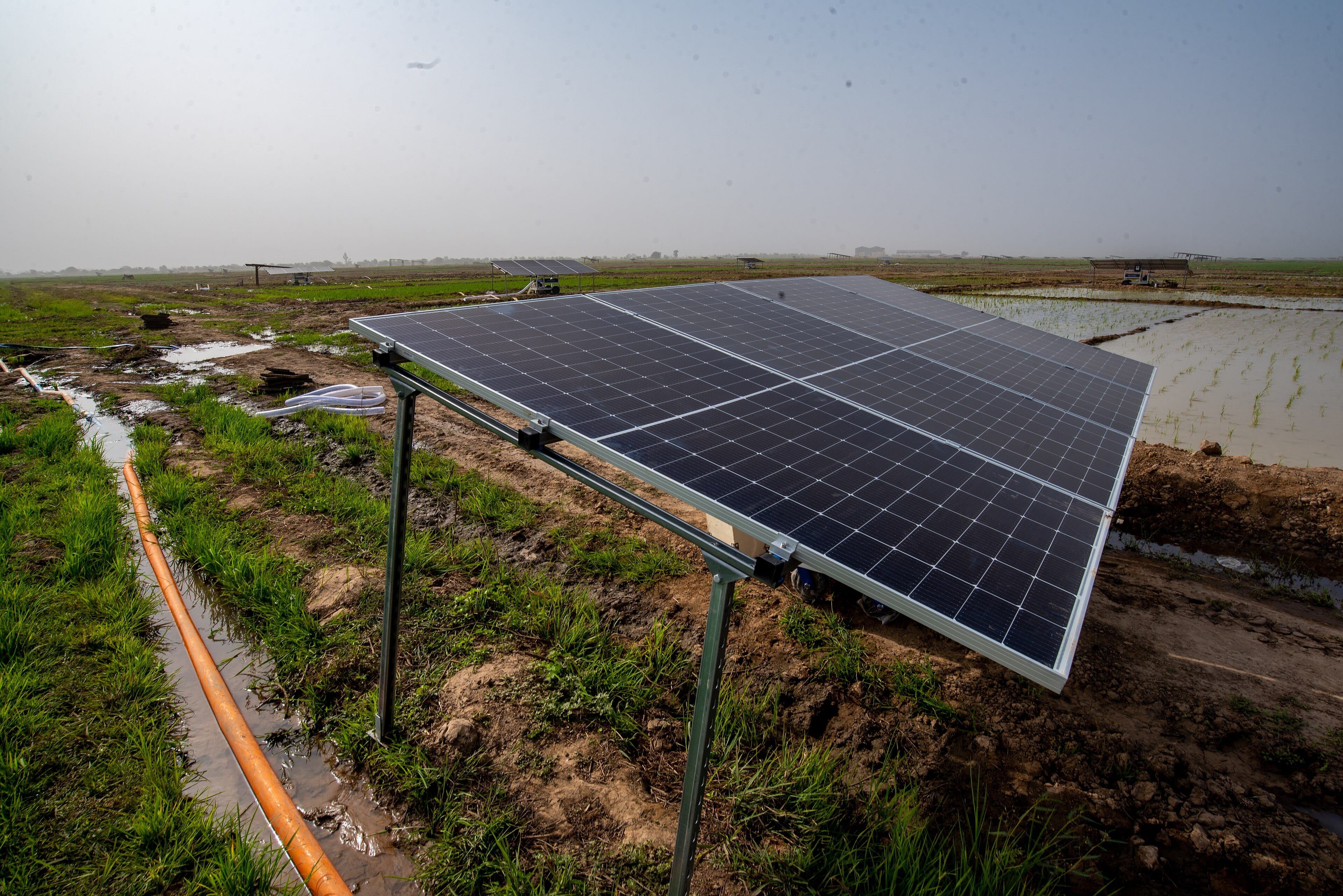 Solar-powered irrigation on a rice farm, Nigeria (illustration)